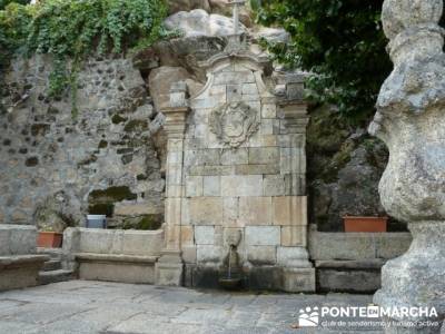 Parque Natural Naturtejo,  actividades y excursiones culturales; senderos club; taxus bacata